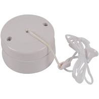 CEILING PULL SWITCH