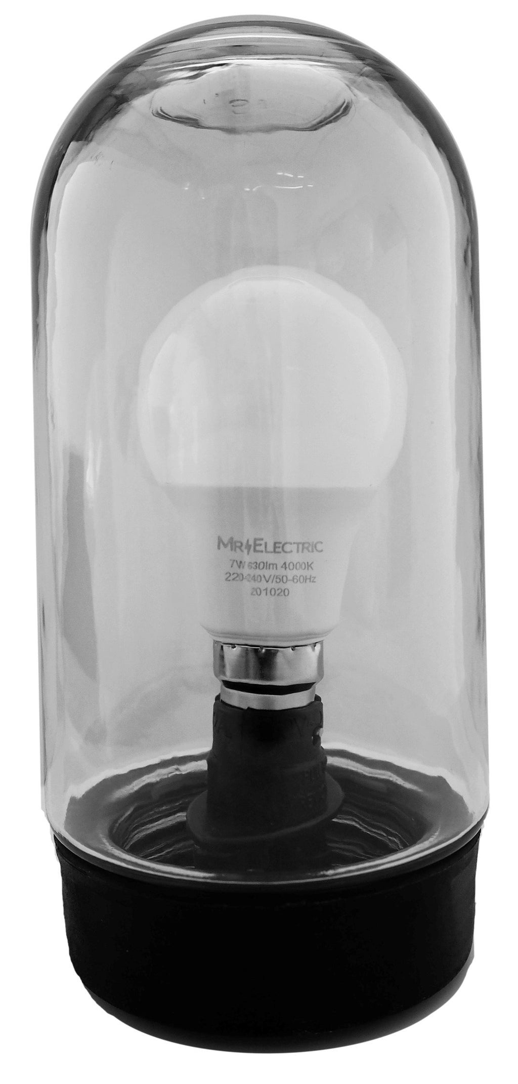 GLASS- WELL GLASS FITTING 100W WITH A60 LAMP